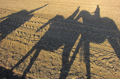 Wiedereinsteiger? Ja klar!