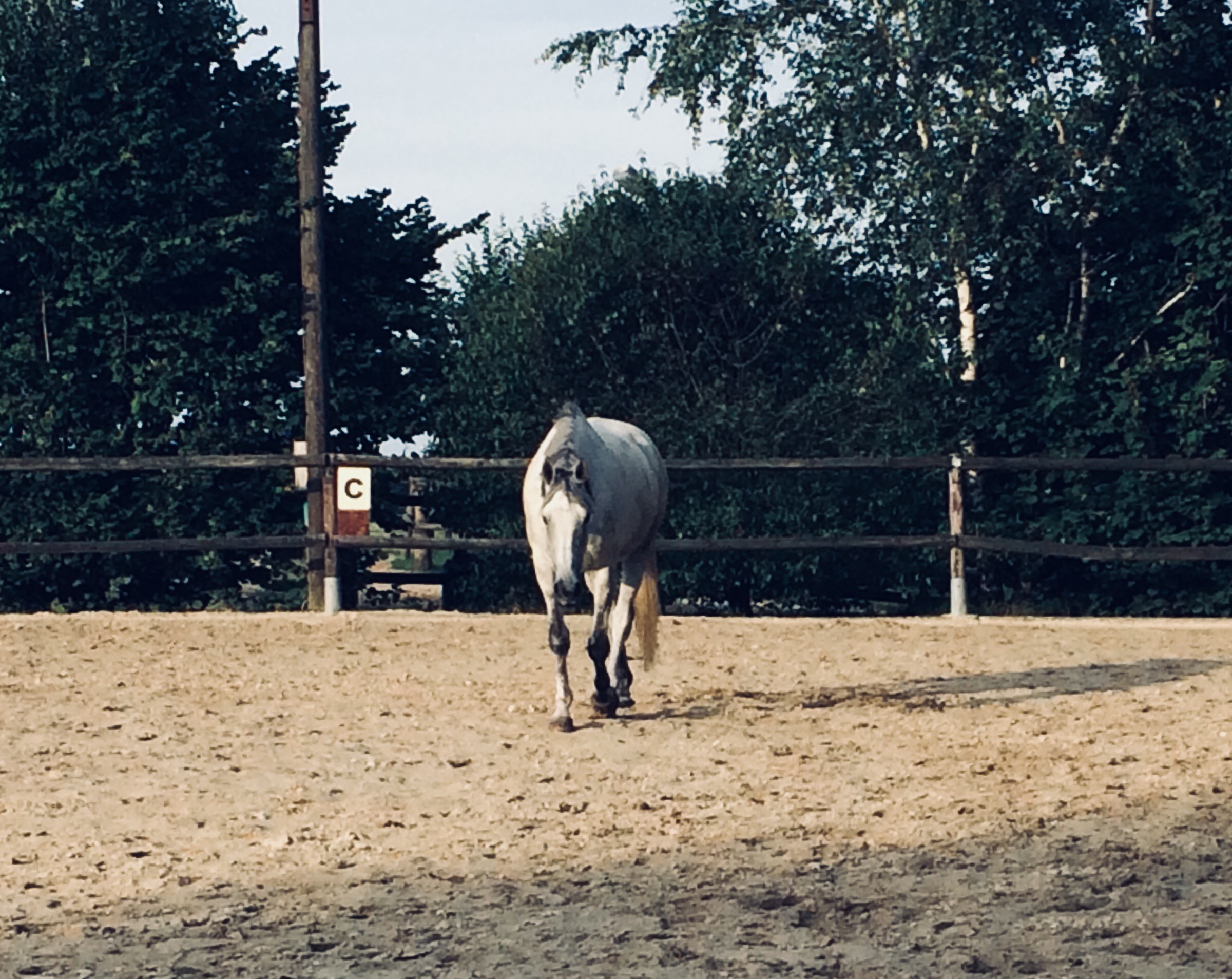 Ganz oder gar nicht, gehen oder bleiben …